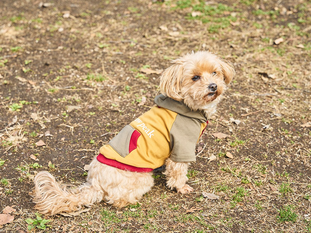 SP Dog Parka【Snow Peak】