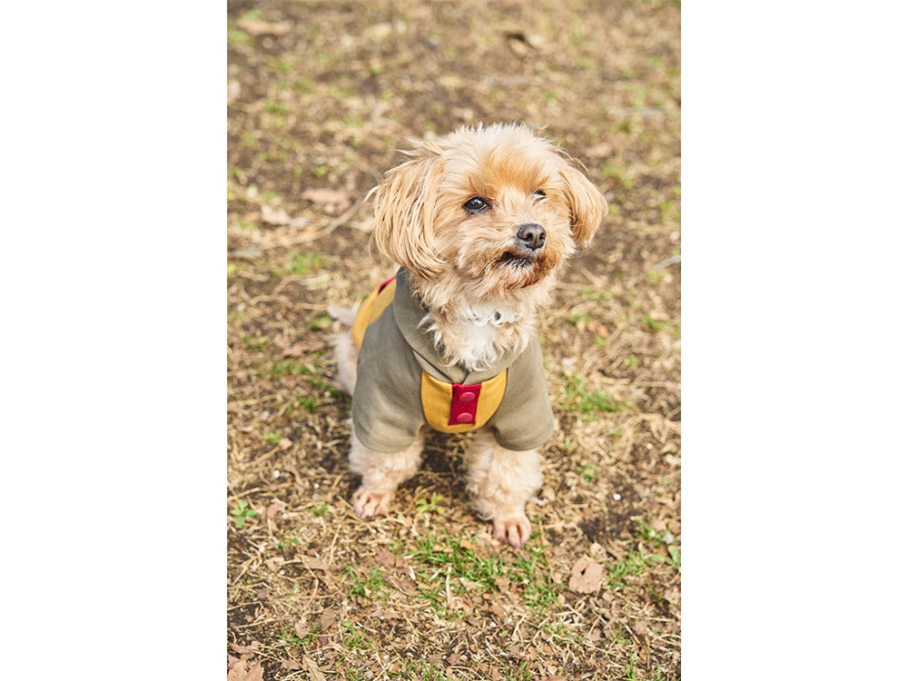 SP Dog Parka【Snow Peak】