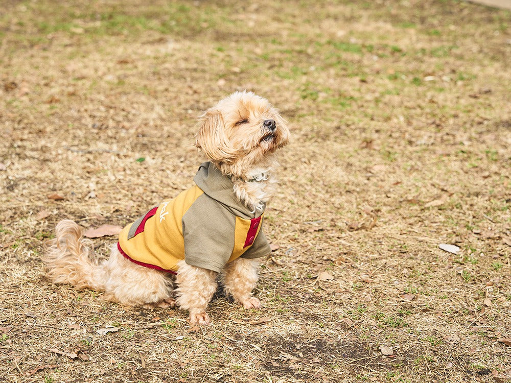 SP Dog Parka【Snow Peak】