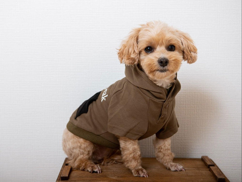 SP Dog Parka【Snow Peak】