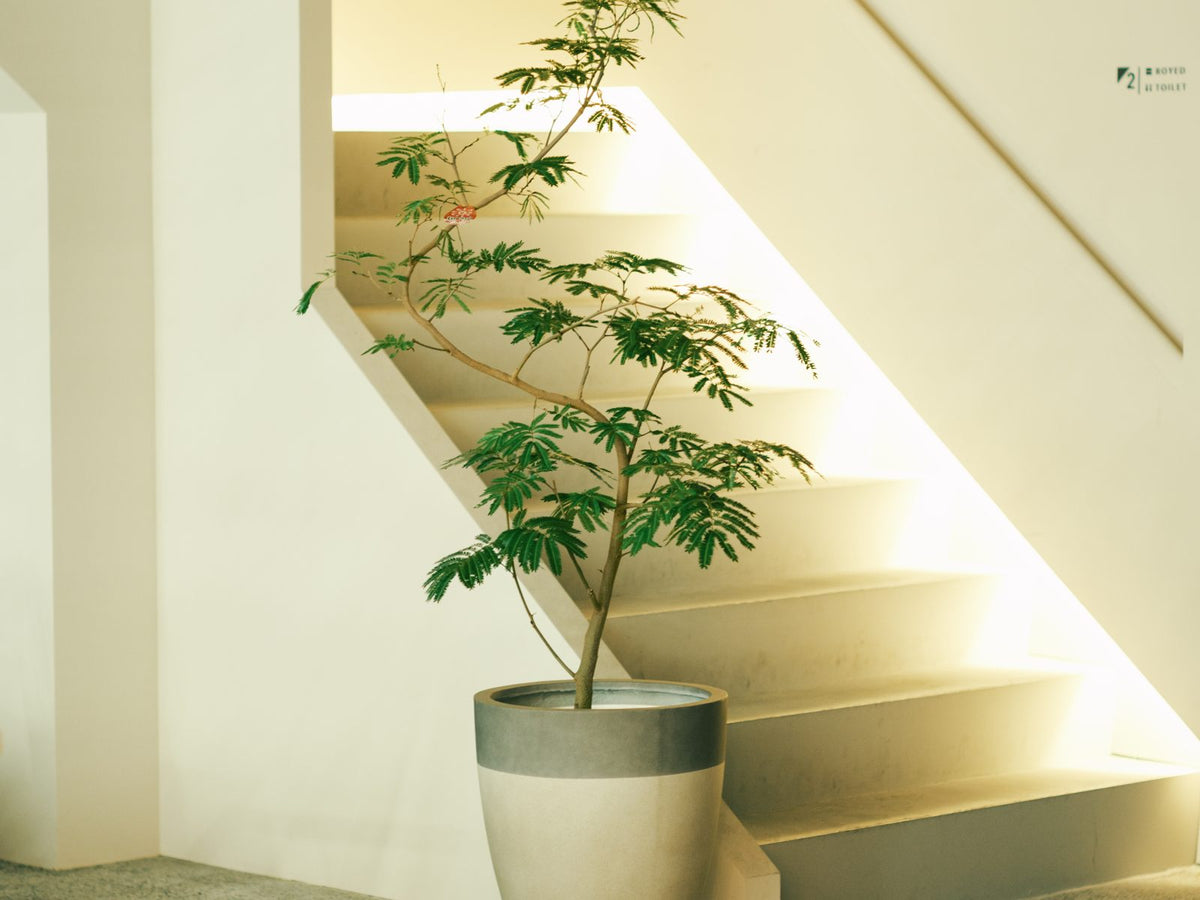 243館内の階段と植栽