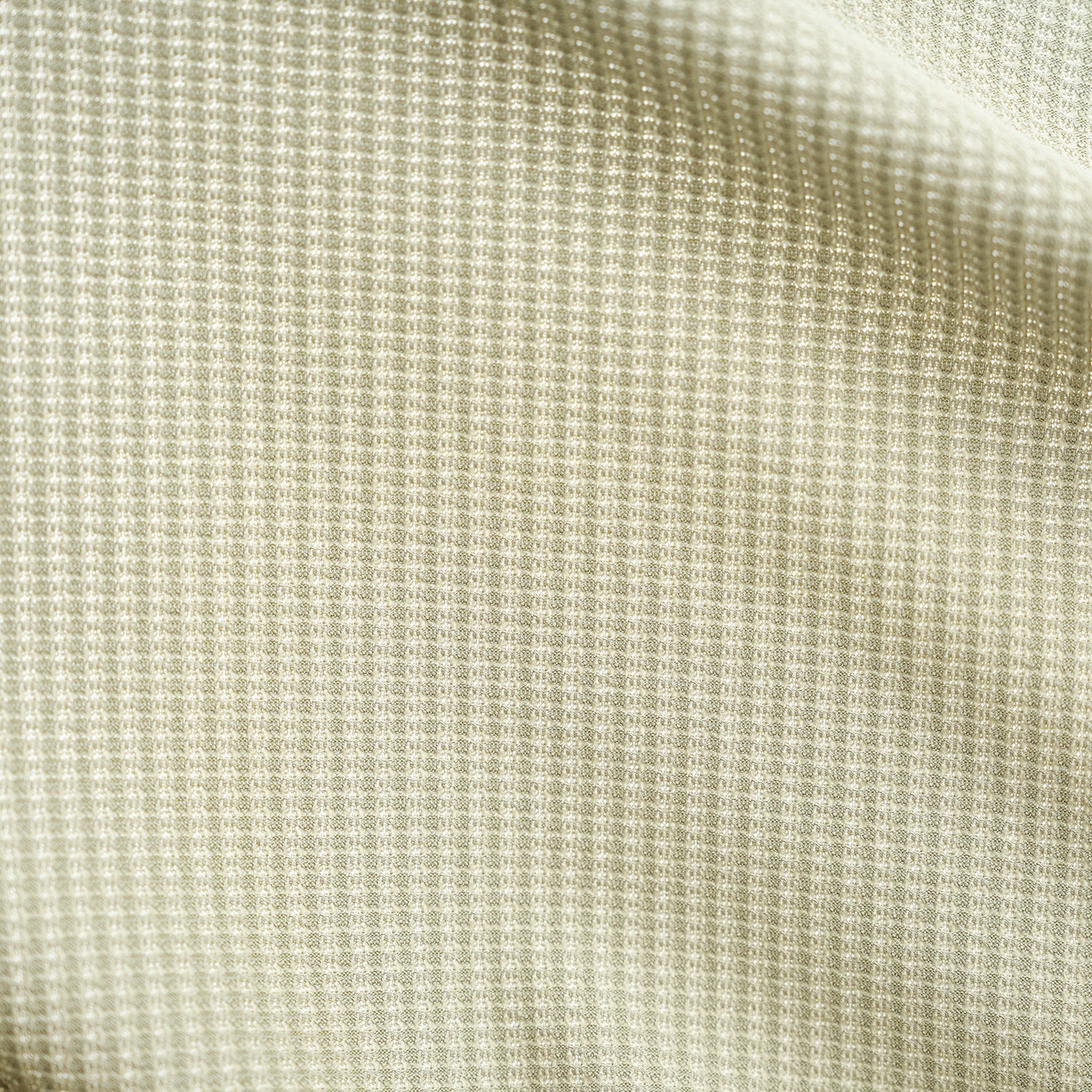 CAYL ケイル Fuel or Fail Short Sleeve
